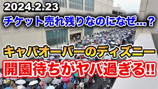 いつまで経っても入園出来ないゲストも困惑の長蛇の列！限界突破したディズニーランドの開園待ちを速報解説！ [upl. by Eidahs748]