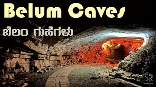 Exploring Belum Caves  Complete Travel Guide from Bengaluru to Andhra Pradesh [upl. by Kenneth]