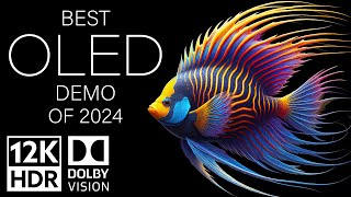 BEST OLED DEMO OF 2024  DOLBY VISION 12K HDR 120fps [upl. by Aehcsrop]