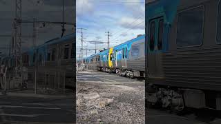 Alstom Comeng train at Devon Rd level crossing Pascoe Vale [upl. by Anyalram]