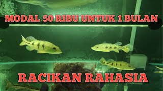 DENGAN MODAL MURAH IKAN PBASS KALIAN DIJAMIN TIDAK SEPERTI PLATINUM KW 🤣 [upl. by Howlond]