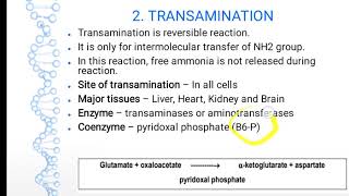 General Reactions of Amino Acid Metabolism [upl. by Enelrae204]