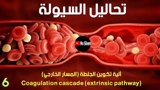 المسار الخارجي coagulation cascade extrinsic pathway [upl. by Keiryt114]