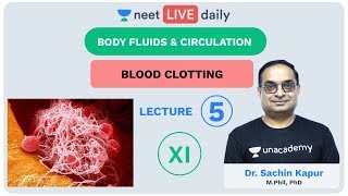 Body Fluids amp Circulation  Lecture 5  Unacademy NEET  LIVE DAILY  NEET Biology  Dr Sachin Kapur [upl. by Haduhey]