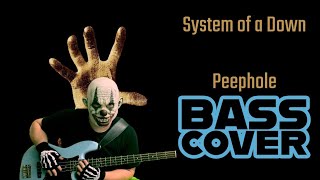 System of a Down  Peephole Bass Cover [upl. by Eigla172]