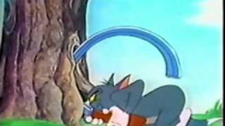 tom and jerry punjabi fighting funny punjabi song 2009 punjabi cartoon [upl. by Even477]