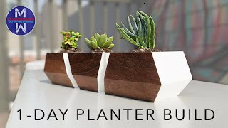 DIY Succulent Planters  how to make [upl. by Lucic925]