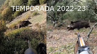 CAZA DEL JABALÍ EN NAVARRA Y ARAGÓN TEMPORADA 2022 23 40 LANCES A JABALÍ 🐕🐗 [upl. by Fevre753]