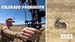 CO Public Land Pronghorn  2023 [upl. by Nerland623]