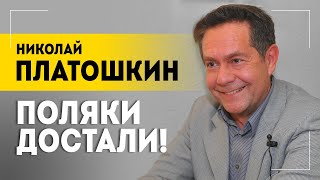 quotУпитанную синицу променяли на миражquot  Наследие Украины план Польши и холостое ружьё  Платошкин [upl. by Yatnahs]