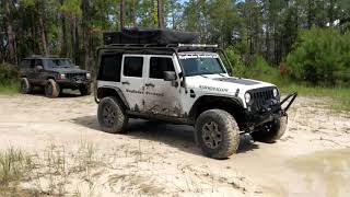 Osceola National Forest Fl  Wayfinder Overland Ep1 [upl. by Adierf]