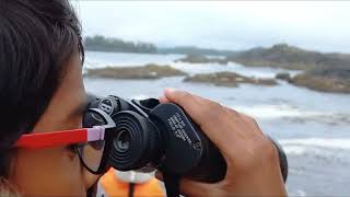 Whale watchingPart 2 Tofino trip [upl. by Nrehtak]