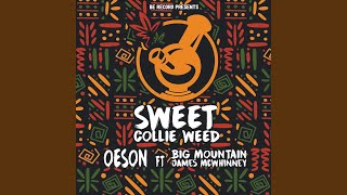 Sweet Collie Weed feat Big Mountain [upl. by Ahsin]