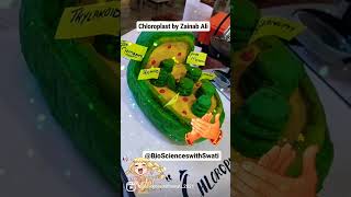 Chloroplast Model BioSciences with ShahTareen Swati [upl. by Ordnas]