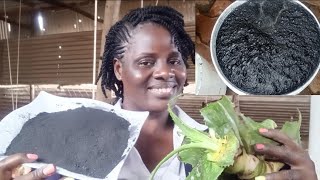 How I cure any Chronic diarrhea with Charcoal and Aloe Vera in 3 days in my farm 🙏♥️ [upl. by Idahs955]