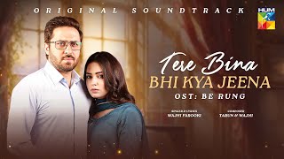 Tere Bina Bhi Kya Jeena  Be Rung OST ✩₊˚⋆  Singer  Wajhi Farooki   HUM TV [upl. by Einnol76]