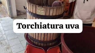 COME FARE IL VINO ROSSO IN CASA EP 3 SVINATURA E TORCHIATURA UVA [upl. by Portia]