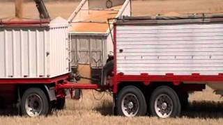 Wheat Harvest in the Palouse [upl. by Hollyanne70]