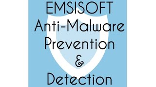 Emsisoft AntiMalware 12 Prevention and Detection Test [upl. by Presber261]