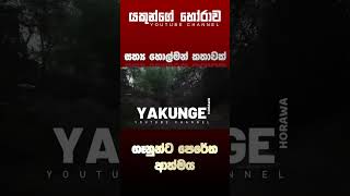 Sinhala holman katha  සිංහල හොල්මන් කතා [upl. by Yrellam]