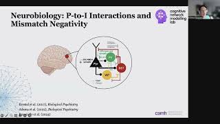 OHBM 2024  Educational Course  Connectomebased models of wholebrain dynamics  Part 8 [upl. by Armalda]