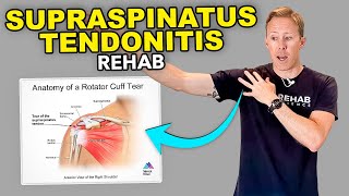 4 Supraspinatus Tendonitis Exercises [upl. by Jenny526]