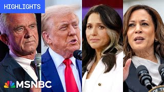 Countdown to the 2024 election Day 64  MSNBC Highlights [upl. by Pirbhai]