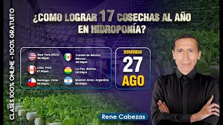 CÓMO LOGRAR 17 COSECHAS AL AÑO EN HIDROPONÍA Lechuga hidropónica [upl. by Grayce135]