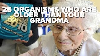 25 Organisms That Are Older Than Your Grandma [upl. by Harobed625]