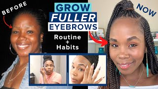 How to GROW Eyebrows THICKER amp FULLER FAST  Hair Regrowth amp Grooming [upl. by Day]