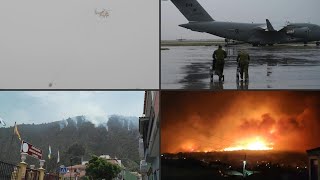 Incêndios florestais na Grécia Canadá e Tenerife  AFP [upl. by Kipp]