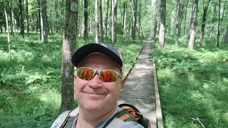 Hiking the North Country Trail Sterling Marsh Manistee National Forest [upl. by Gnehs662]