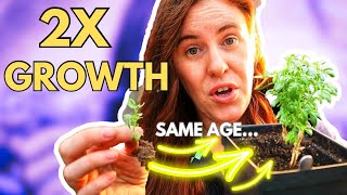 YOU Can Rapidly Increase Seedling Plant Growth ASAP [upl. by Ahseal]