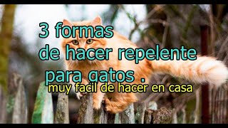 3 REPELENTES PARA GATOS FÁCILES DE HACER EN CASA¡¡ muy efectivos [upl. by Guillermo]