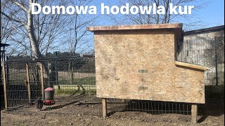 Czy warto hodować kury [upl. by Fortna]