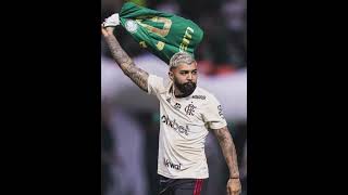 GABIGOL COM A CAMISA DO PALMEIRAS gabigol futebol [upl. by Vidal]