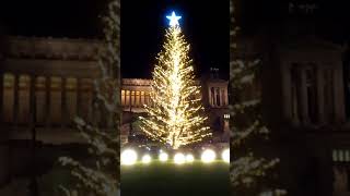 A🎄 Accensione quot Albero di Natale 2017 quot Roma piazza Venezia [upl. by Yelsek]