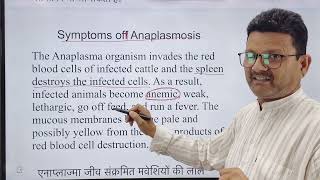 Blood protozoan l Anaplasmosis l dr Umar khan [upl. by Barolet352]