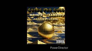 Donnie Tunami  Going For Gold Feat SamDope amp Wayne B ProdH3 [upl. by Bee]