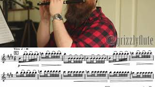 GRIZZLYFLUTE  Piccolo excerpt Mov4 Vivo of Scheherazade by Nikolai RimskyKorsakov [upl. by Ivetts]