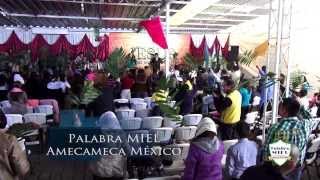 Alabanza Palabra Miel Amecameca [upl. by Terr848]