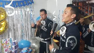 El happy Birthday Mariachi juvenil Deluxe [upl. by Jany599]