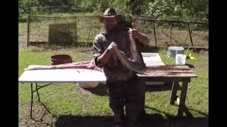 How To Skin Wild Alligator To Tan Hide  Remove All Meat  Louisiana Backyard Process Gator Outdoors [upl. by Atener]