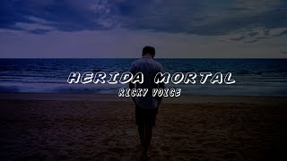 Ricky Voice Herida Mortal Bachata [upl. by Eleonore42]