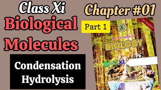 Synthesis and Breakdown of macromolecules PolymersClass 11 Biology Chapter 01 part01 [upl. by Artinek]