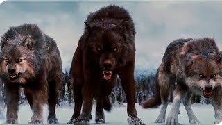 Born Among Wolves  Action Movie Full Length English   Full Action Movies HD [upl. by Bringhurst]