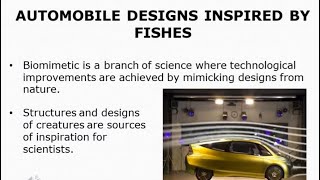 Boxfish Automobile Design Inspired by Fishes boxfish automobile design inspired fishes [upl. by Amir]