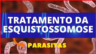 TRATAMENTO PARA ESQUISTOSSOMOSE SCHISTOSOMA MANSONI  PARASITOLOGIA  INFECTOLOGIA [upl. by Ttej]