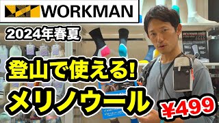 【登山で使えるワークマン】登山YouTuberおすすめメリノウール＆レインウェア 登山ウェアを紹介レビュー [upl. by Inimak]