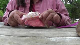 How you are trimming the hoof capsule OFF your Horses Foot [upl. by Aspa]